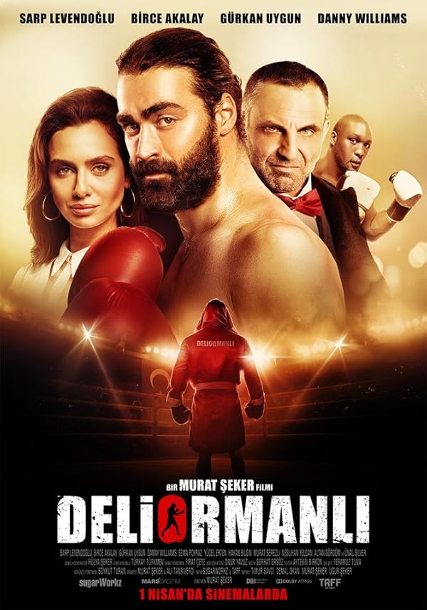 دانلود فیلم اهل دلی‌اورمان 2016 Deliormanli با دوبله فارسی